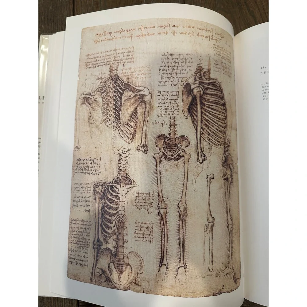 Leonardo da Vinci The Anatomy of Man Art History Book